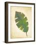 Havana Palm 4-J Charles-Framed Art Print