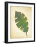Havana Palm 4-J Charles-Framed Art Print