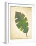 Havana Palm 4-J Charles-Framed Art Print