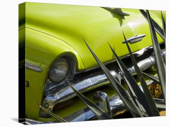 Havana, Vintage American Cars, Havana, Cuba-Paul Harris-Stretched Canvas