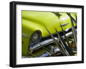 Havana, Vintage American Cars, Havana, Cuba-Paul Harris-Framed Premium Photographic Print