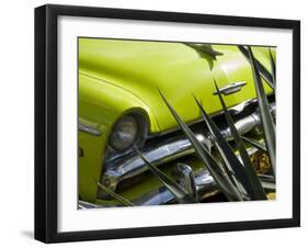 Havana, Vintage American Cars, Havana, Cuba-Paul Harris-Framed Photographic Print