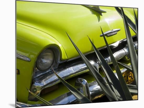 Havana, Vintage American Cars, Havana, Cuba-Paul Harris-Mounted Photographic Print