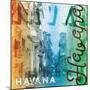 Havana-Jace Grey-Mounted Art Print