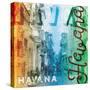 Havana-Jace Grey-Stretched Canvas