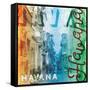 Havana-Jace Grey-Framed Stretched Canvas