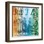 Havana-Jace Grey-Framed Art Print