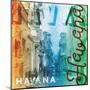 Havana-Jace Grey-Mounted Art Print