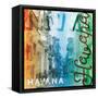 Havana-Jace Grey-Framed Stretched Canvas