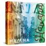 Havana-Jace Grey-Stretched Canvas