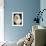 Havanese-null-Framed Photographic Print displayed on a wall