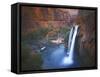 Havasu Falls, Grand Canyon, Arizona, USA-Charles Gurche-Framed Stretched Canvas