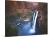 Havasu Falls, Grand Canyon, Arizona, USA-Charles Gurche-Stretched Canvas