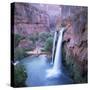 Havasu Falls, Grand Canyon, United States of America (U.S.A.), North America-Tony Gervis-Stretched Canvas