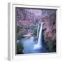 Havasu Falls, Grand Canyon, United States of America (U.S.A.), North America-Tony Gervis-Framed Photographic Print