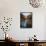 Havasu Falls-James Randklev-Framed Stretched Canvas displayed on a wall