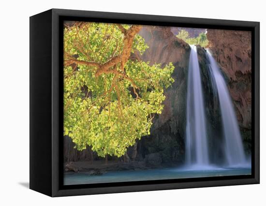 Havasu Falls-Ron Watts-Framed Stretched Canvas