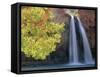 Havasu Falls-Ron Watts-Framed Stretched Canvas