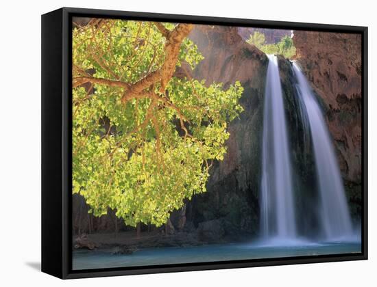 Havasu Falls-Ron Watts-Framed Stretched Canvas