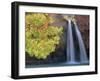 Havasu Falls-Ron Watts-Framed Premium Photographic Print