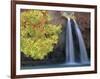 Havasu Falls-Ron Watts-Framed Photographic Print