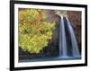 Havasu Falls-Ron Watts-Framed Photographic Print