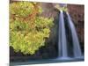 Havasu Falls-Ron Watts-Mounted Photographic Print