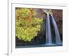 Havasu Falls-Ron Watts-Framed Photographic Print