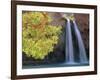 Havasu Falls-Ron Watts-Framed Photographic Print