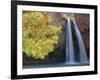 Havasu Falls-Ron Watts-Framed Photographic Print