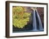 Havasu Falls-Ron Watts-Framed Photographic Print