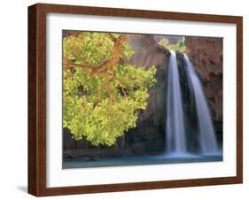 Havasu Falls-Ron Watts-Framed Photographic Print