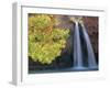 Havasu Falls-Ron Watts-Framed Photographic Print