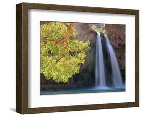 Havasu Falls-Ron Watts-Framed Photographic Print