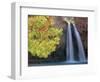 Havasu Falls-Ron Watts-Framed Photographic Print