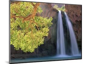 Havasu Falls-Ron Watts-Mounted Photographic Print