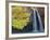 Havasu Falls-Ron Watts-Framed Photographic Print