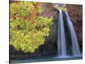 Havasu Falls-Ron Watts-Stretched Canvas