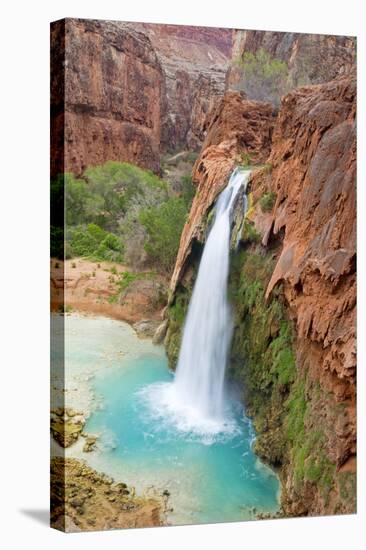 Havasu Waterfall on the Havasupai Reservation in Arizona, USA-Chuck Haney-Stretched Canvas