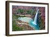 Havasu Waterfall on the Havasupai Reservation in Arizona, USA-Chuck Haney-Framed Photographic Print