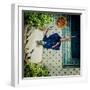 Have a break-null-Framed Photographic Print