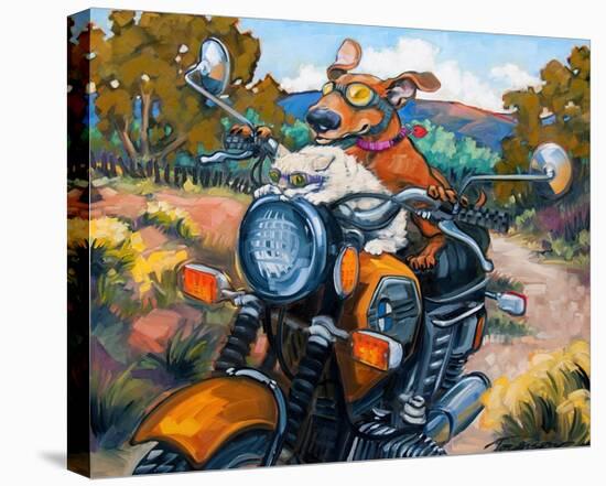 Have Dog Will Travel-Connie R. Townsend-Stretched Canvas