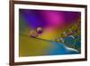 Have The Flue-Heidi Westum-Framed Photographic Print