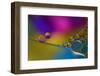 Have The Flue-Heidi Westum-Framed Photographic Print