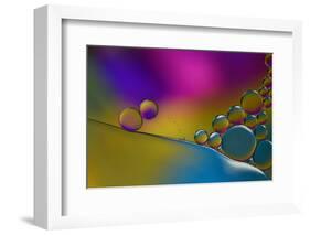 Have The Flue-Heidi Westum-Framed Photographic Print