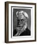 Havelock Ellis-English Photographer-Framed Giclee Print