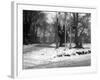 Havering in the Snow-null-Framed Photographic Print