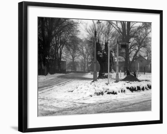 Havering in the Snow-null-Framed Photographic Print