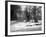 Havering in the Snow-null-Framed Photographic Print