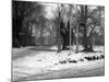 Havering in the Snow-null-Mounted Photographic Print